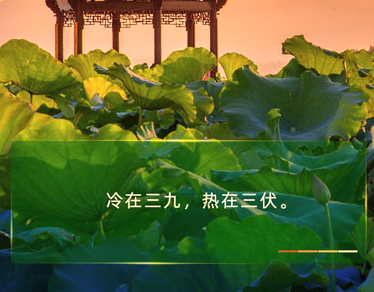 内痔