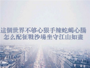 搜觅